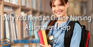 Why You Need an Online Nursing Assignment Help